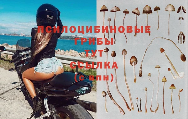 каннабис Медногорск
