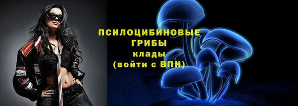 jwh Медвежьегорск