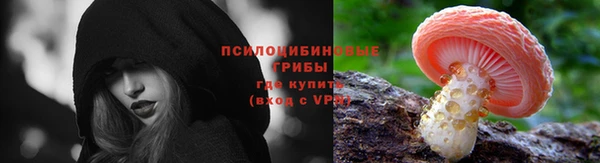 ПСИЛОЦИБИНОВЫЕ ГРИБЫ Мегион