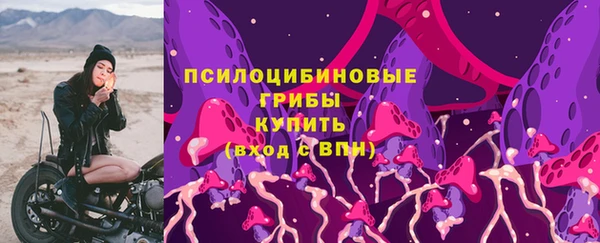 ПСИЛОЦИБИНОВЫЕ ГРИБЫ Мегион