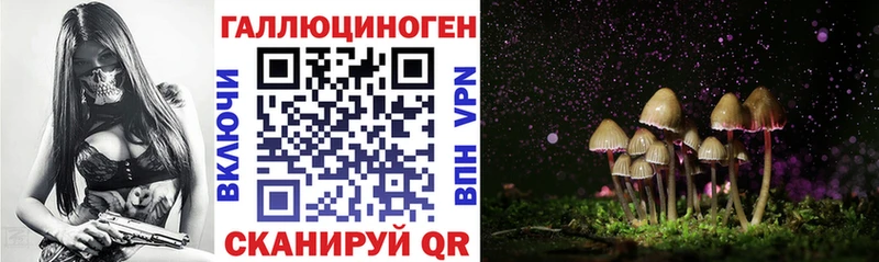 hydra маркетплейс  Прокопьевск  Галлюциногенные грибы GOLDEN TEACHER  наркотики 
